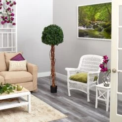 5.5’ English Ivy Single Ball Artificial Topiary Tree With Natural Trunk UV Resistant (Indoor/Outdoor) -Artificial Trees Store artificial 55 english ivy single ball artificial topiary tree with natural trunk uv resistant indooroutdoor nearly natural 165433