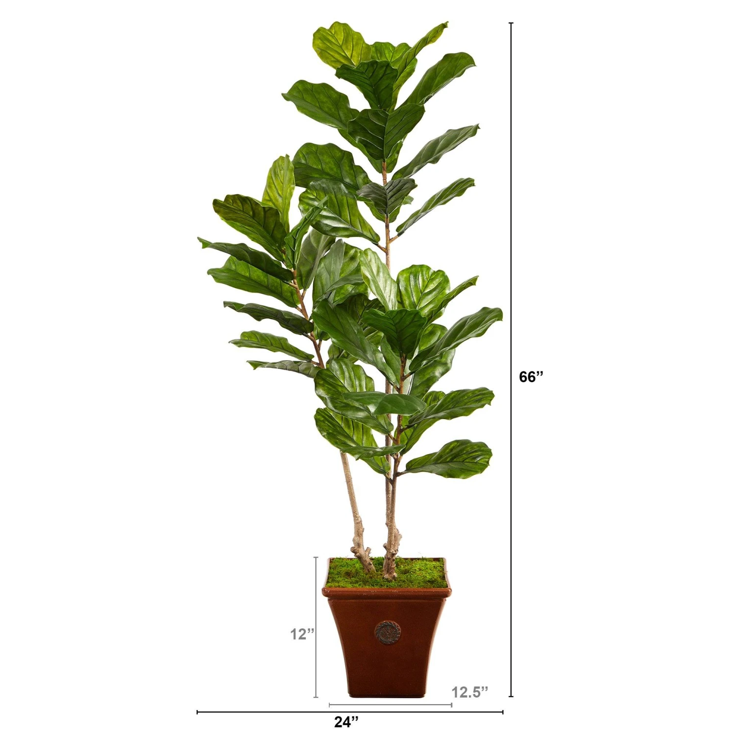5.5’ Fiddle Leaf Artificial Tree In Brown Planter (Indoor/Outdoor) 2 5.5’ Fiddle Leaf Artificial Tree In Brown Planter (Indoor/Outdoor) - Image 2