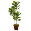 5.5’ Fiddle Leaf Artificial Tree In Brown Planter (Indoor/Outdoor)