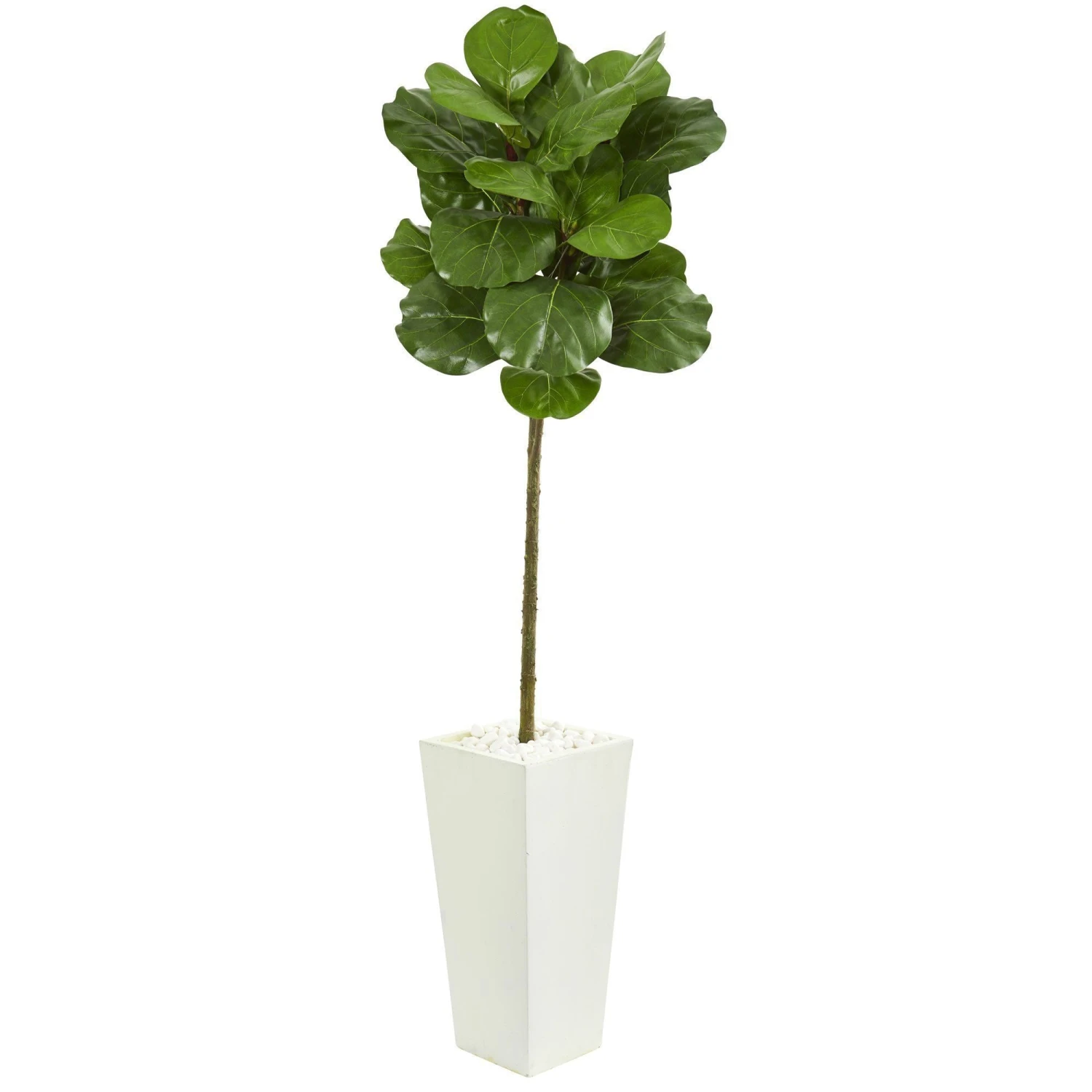 5.5’ Fiddle Leaf Artificial Tree In White Tower Planter 1 5.5’ Fiddle Leaf Artificial Tree In White Tower Planter