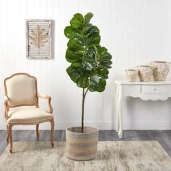 5.5’ Fiddle Leaf Fig Artificial Tree In Handmade Natural Cotton Multicolored Woven Planter 6 5.5’ Fiddle Leaf Fig Artificial Tree In Handmade Natural Cotton Multicolored Woven Planter -Artificial Trees Store artificial 55 fiddle leaf fig artificial tree in handmade natural cotton multicolored woven planter nearly natural 972961