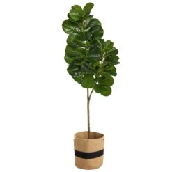 5.5’ Fiddle Leaf Fig Artificial Tree In Handmade Natural Cotton Planter