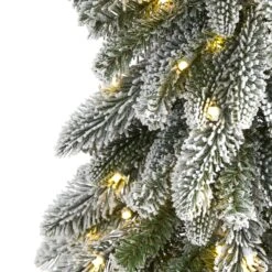 5.5’ Flocked Washington Alpine Artificial Christmas Tree 9 5.5’ Flocked Washington Alpine Artificial Christmas Tree -Artificial Trees Store artificial 55 flocked washington alpine christmas artificial tree with 150 white warm led lights and 377 bend nearly natural 352884