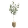 5.5’ Olive Artificial Tree In Sand Colored Planter
