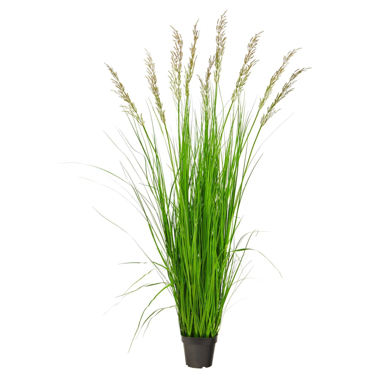5.5’ Artificial Plum Grass Plant 1 5.5’ Artificial Plum Grass Plant