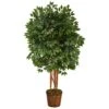 5.5’ Super Deluxe Ficus Artificial Tree In Wicker Planter