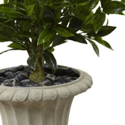 5.5’ Triple Bay Leaf Topiary Artificial Tree In Urn UV Resistant (Indoor/Outdoor) -Artificial Trees Store artificial 55 triple bay leaf topiary artificial tree in urn uv resistant indooroutdoor nearly natural 636188