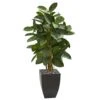 56” Artificial Rubber Tree In Black Planter