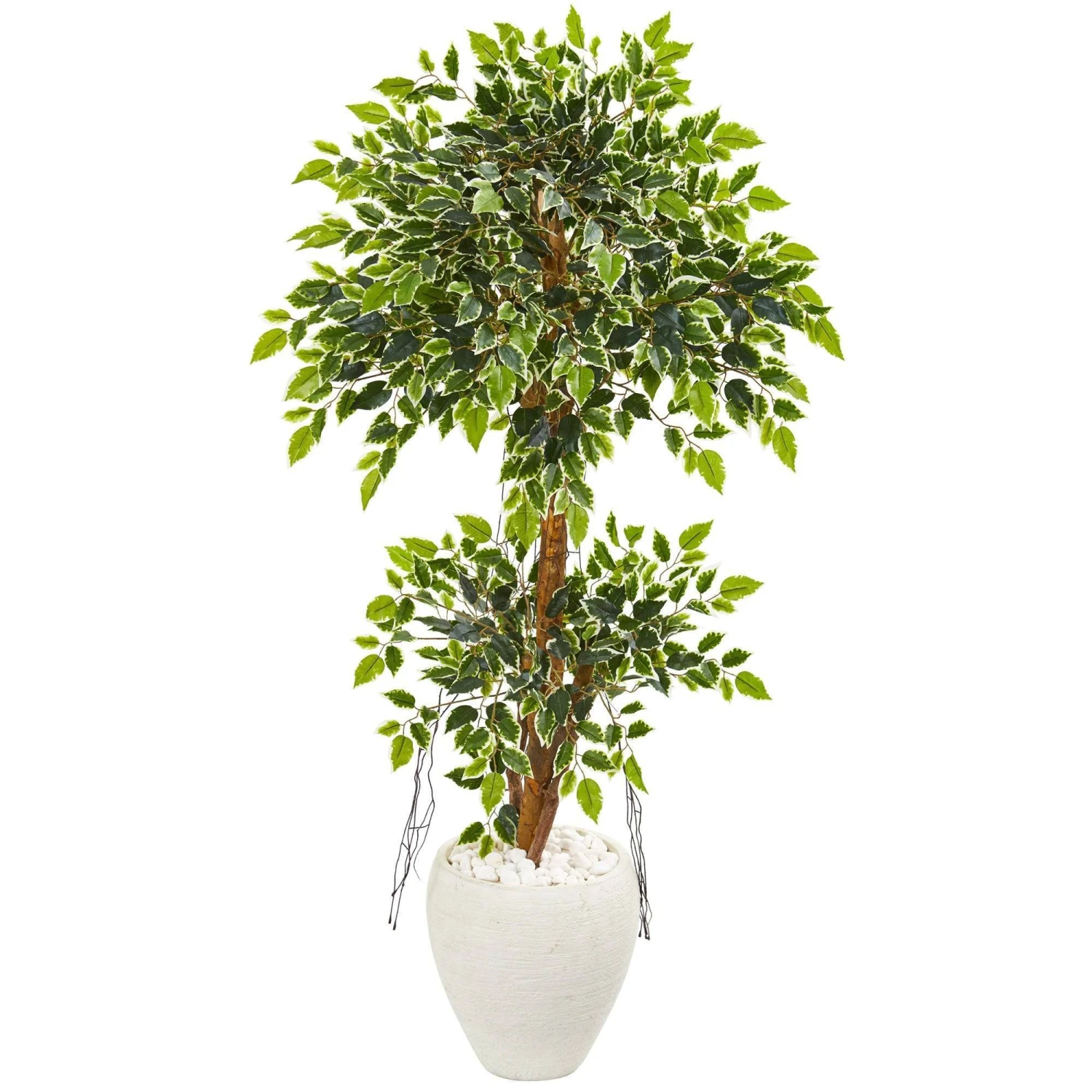 56” Variegated Ficus Artificial Tree In White Planter 1 56” Variegated Ficus Artificial Tree In White Planter