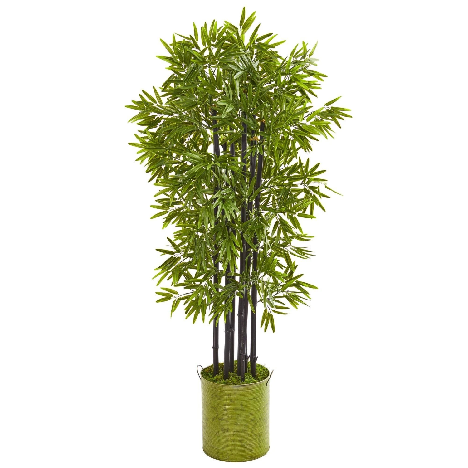 57” Bamboo Artificial Tree With Black Trunks In Green Planter (Indoor/Outdoor) 1 57” Bamboo Artificial Tree With Black Trunks In Green Planter (Indoor/Outdoor)