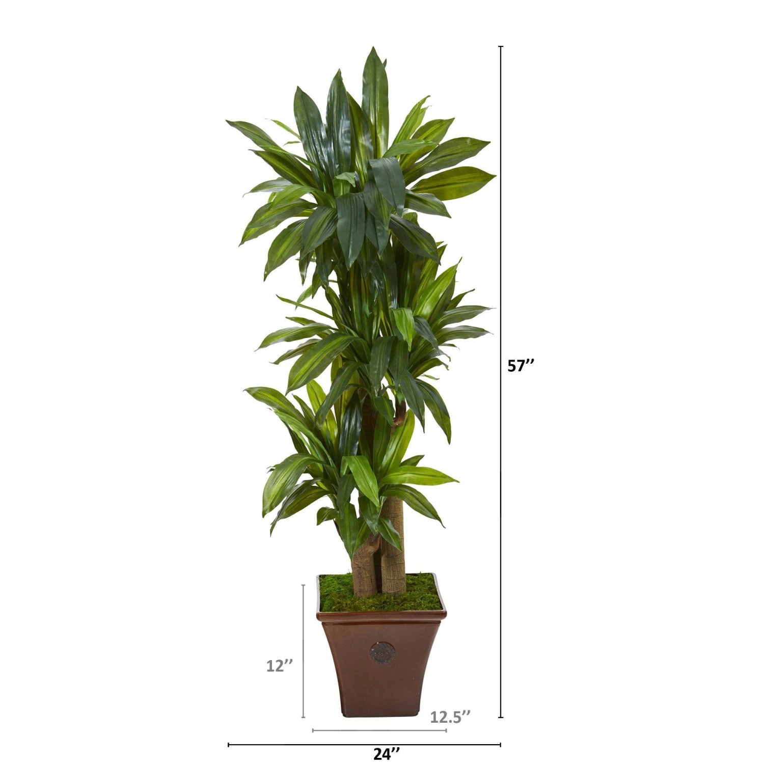 57” Corn Stalk Dracaena Artificial Plant In Brown Planter (Real Touch) 2 57” Corn Stalk Dracaena Artificial Plant In Brown Planter (Real Touch) - Image 2