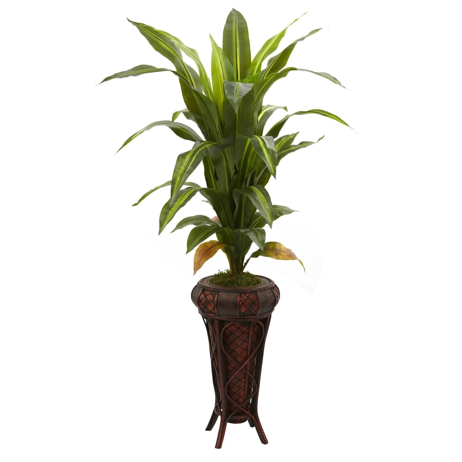 57” Dracaena W/Stand Silk Plant (Real Touch) 1 57” Dracaena W/Stand Silk Plant (Real Touch)