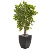 57” River Birch Artificial Tree In Black Planter