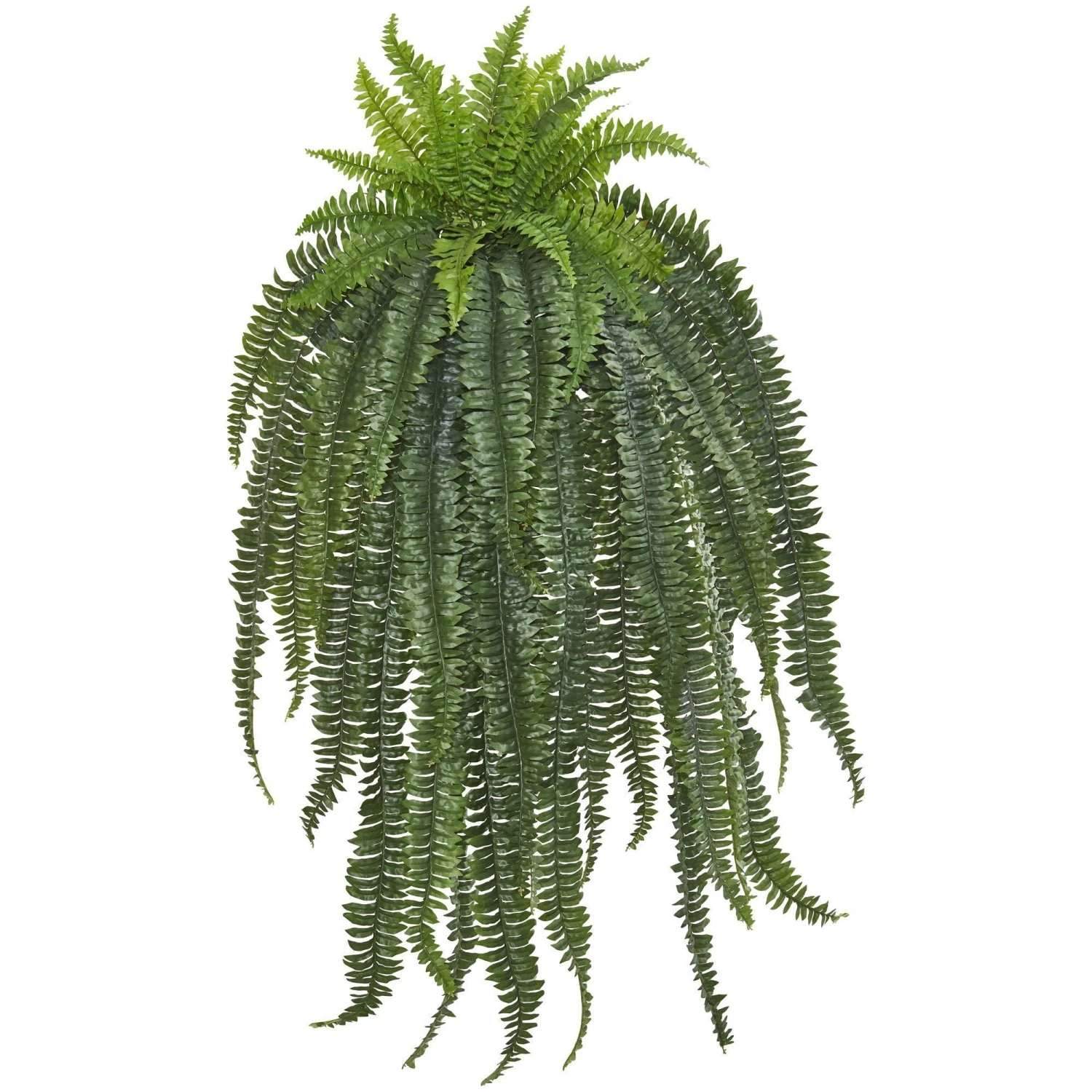 58” Boston Fern Artificial Hanging Plant 1 58” Boston Fern Artificial Hanging Plant