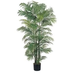 6' Areca Silk Palm Tree