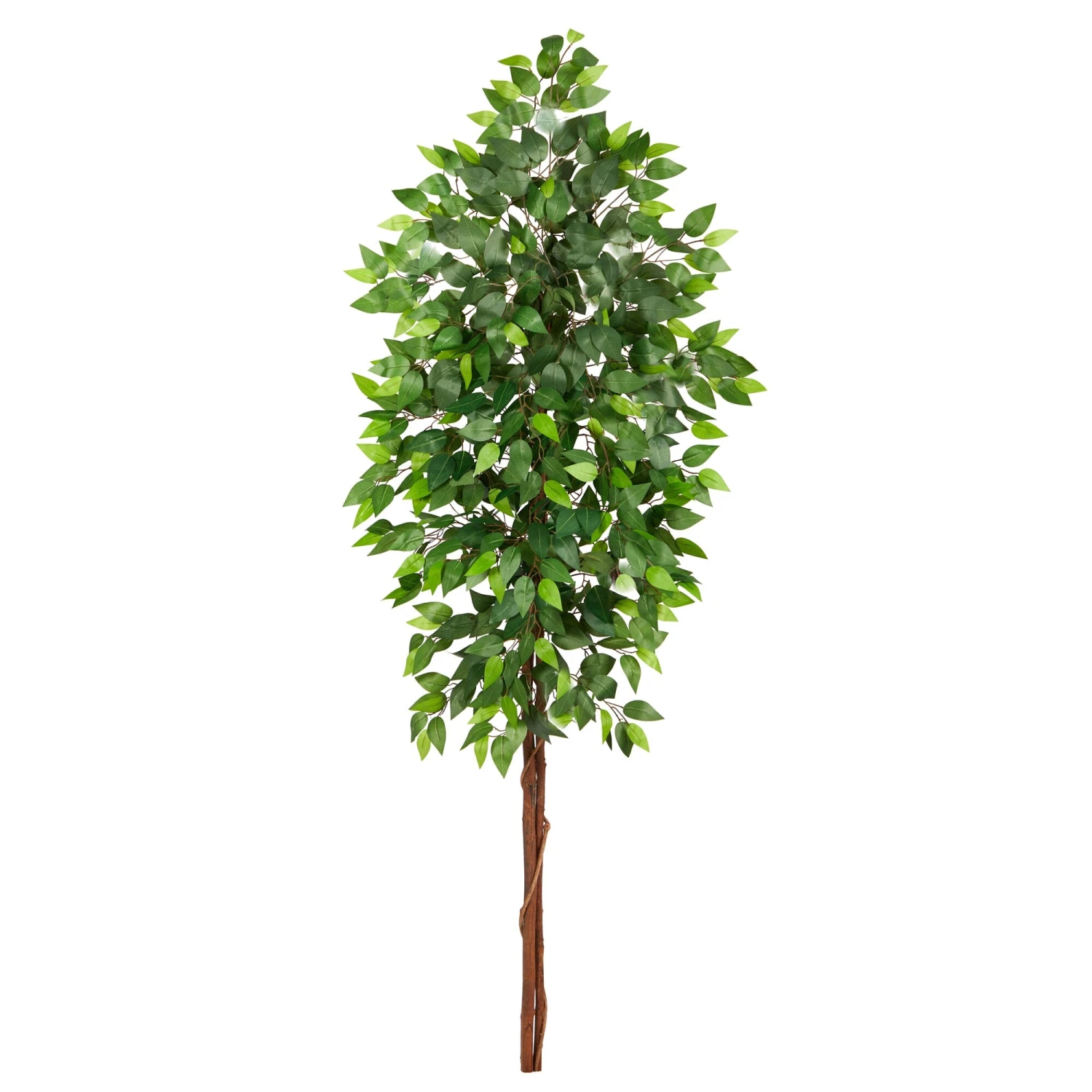 6’ Artificial Double Trunk Ficus Tree (No Pot) 1 6’ Artificial Double Trunk Ficus Tree (No Pot)