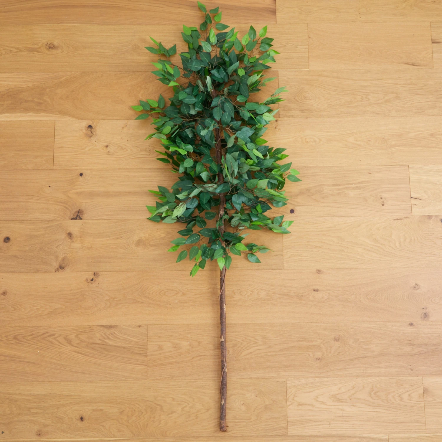 6’ Artificial Ficus Tree (No Pot) 2 6’ Artificial Ficus Tree (No Pot) - Image 2