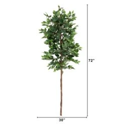 6’ Artificial Ficus Tree (No Pot) 5 6’ Artificial Ficus Tree (No Pot) -Artificial Trees Store artificial 6 artificial ficus tree without pot tree nearly natural 183571