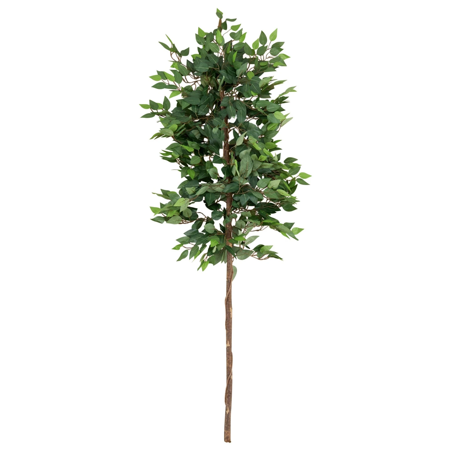 6’ Artificial Ficus Tree (No Pot) 1 6’ Artificial Ficus Tree (No Pot)