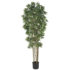 6' Bamboo Japanica Silk Tree