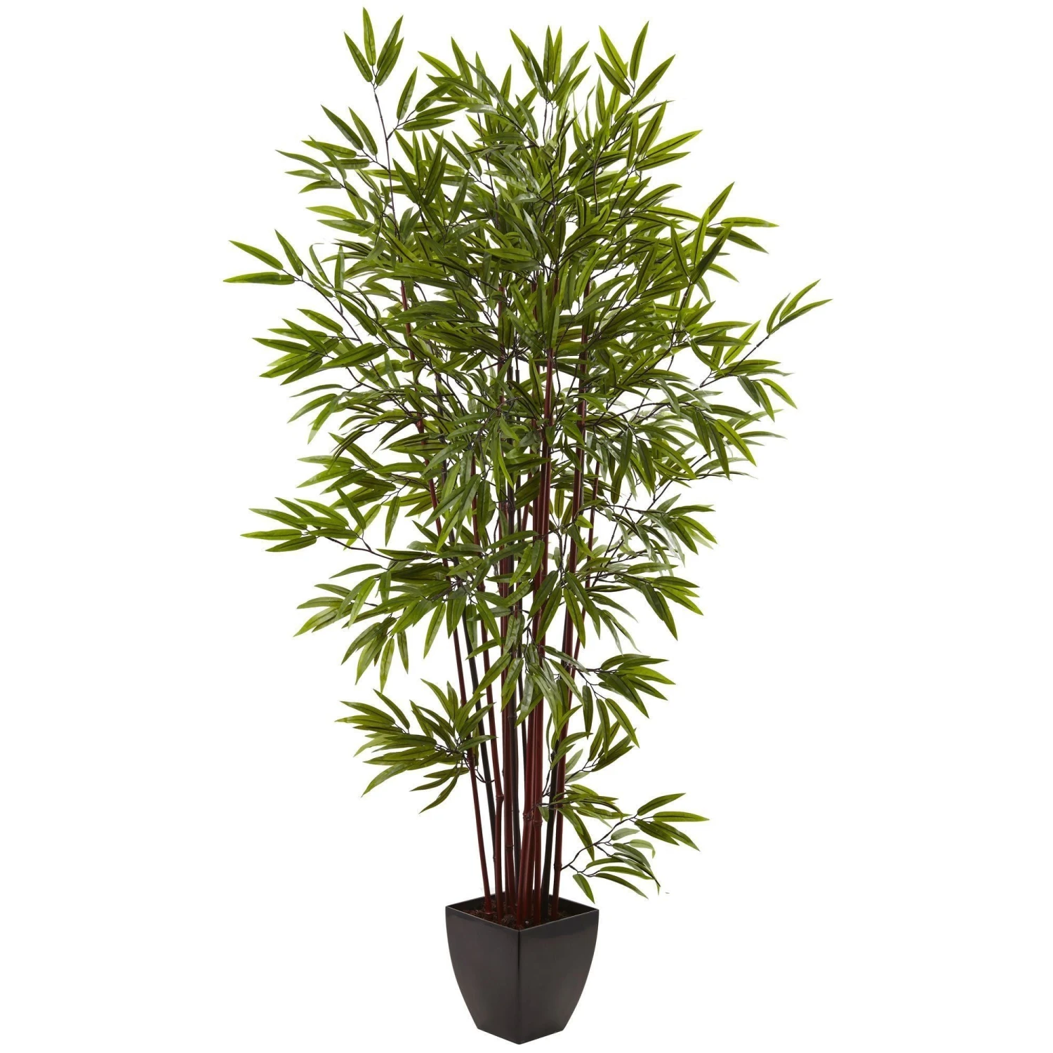 6’ Bamboo Silk Tree W/Planter 1 6’ Bamboo Silk Tree W/Planter