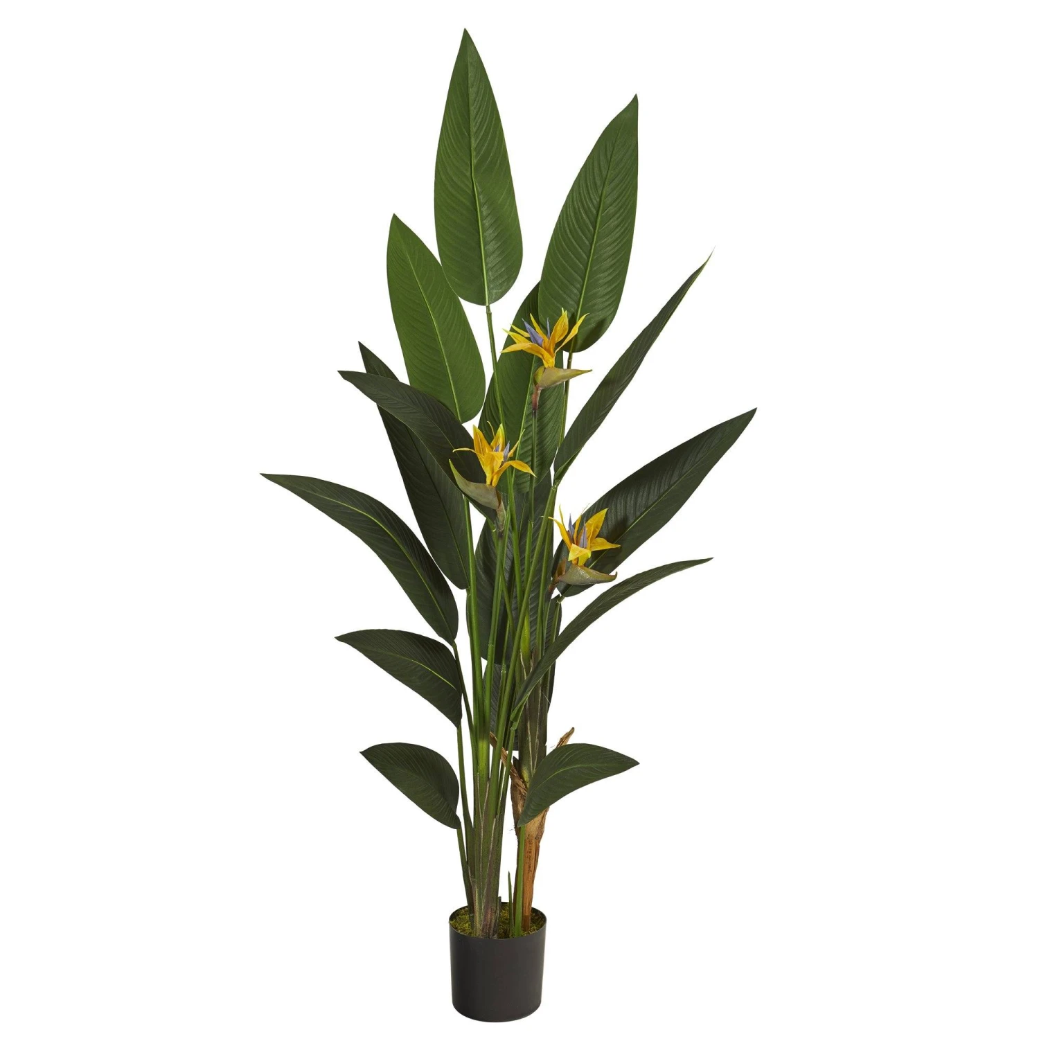 6’ Bird Of Paradise Artificial Plant 1 6’ Bird Of Paradise Artificial Plant