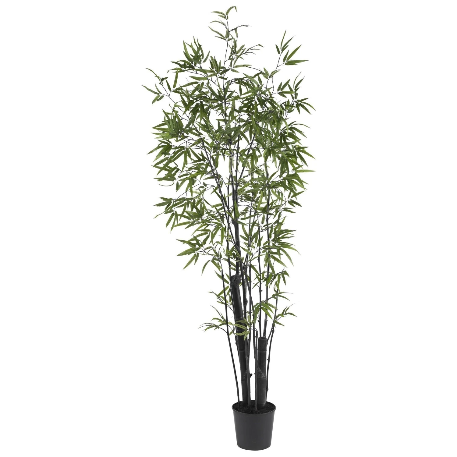 6' Black Bamboo Silk Tree (2 Thick Trunks) 1 6' Black Bamboo Silk Tree (2 Thick Trunks)