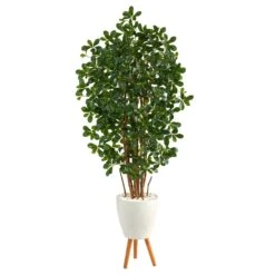 6’ Black Olive Artificial Tree In White Planter With Stand