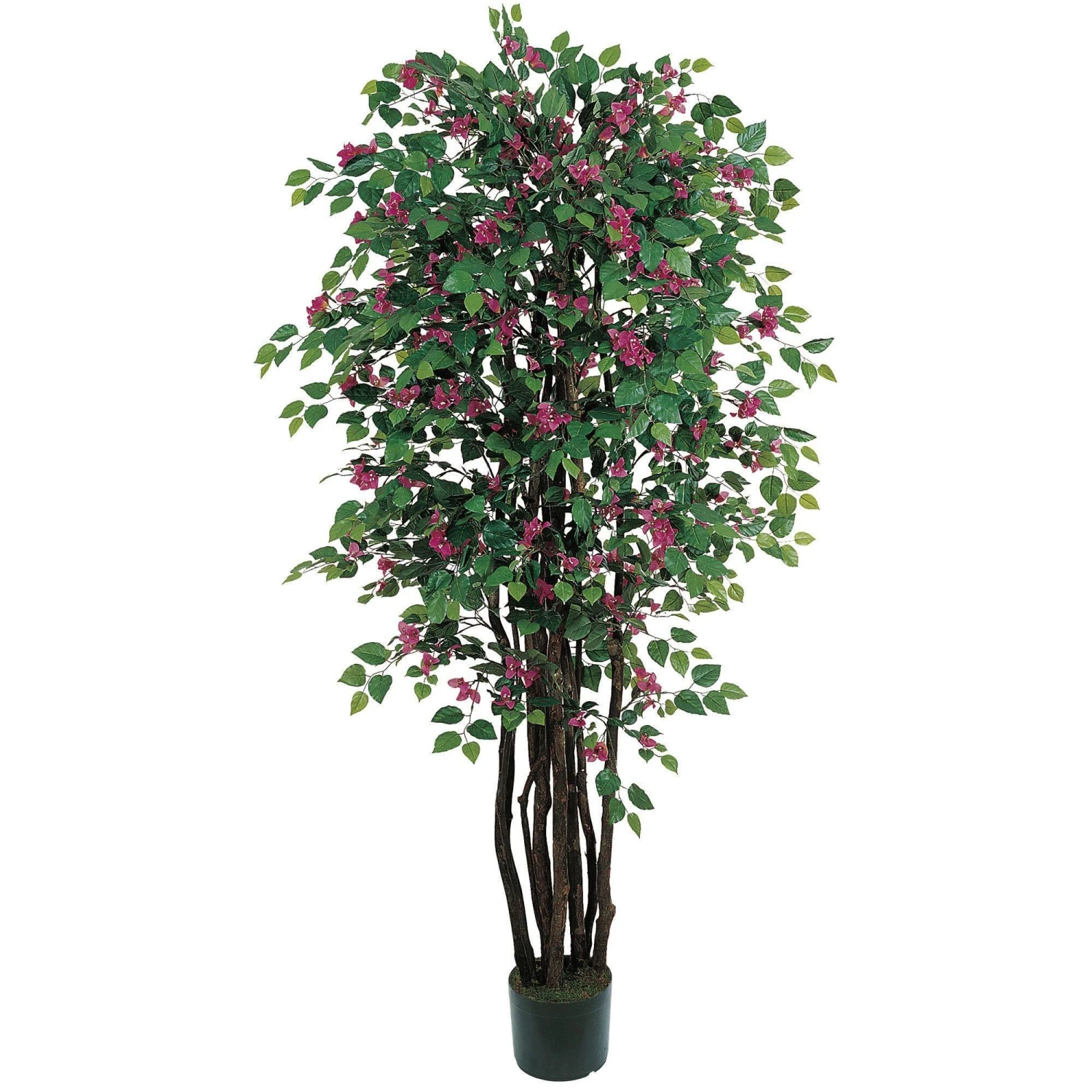 6' Bougainvillea Silk Tree 1 6' Bougainvillea Silk Tree