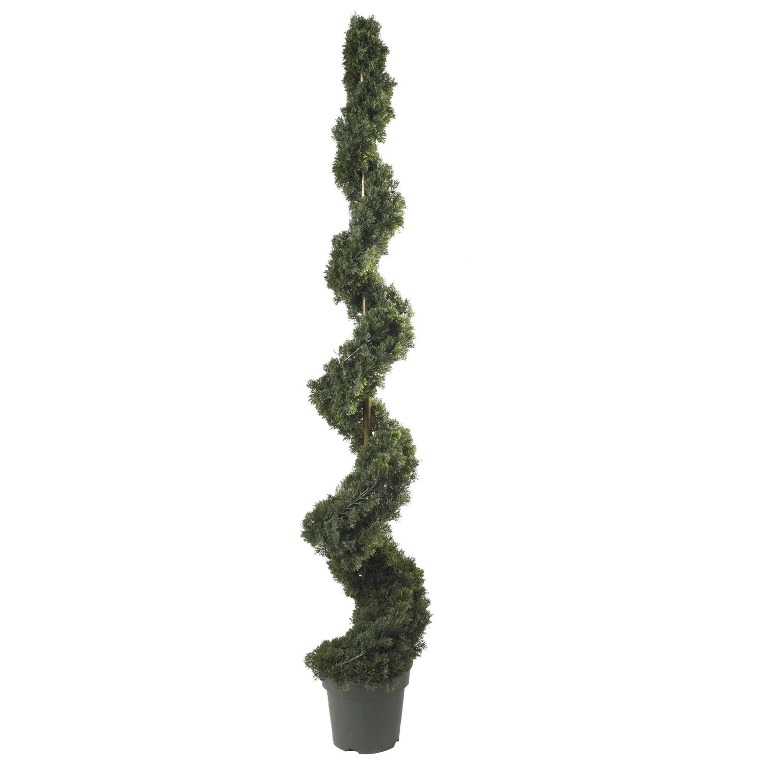 6' Cedar Spiral Silk Tree (In-door/Out-door) 1 6' Cedar Spiral Silk Tree (In-door/Out-door)