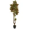 6’ Croton Artificial Tree