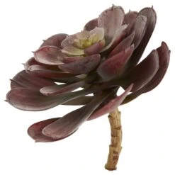 6” Echeveria Succulent (Set Of 12) -Artificial Trees Store artificial 6 echeveria succulent set of 12 nearly natural 262958