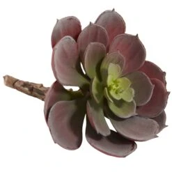6” Artificial Echeveria Succulent (Set Of 12) 14 6” Artificial Echeveria Succulent (Set Of 12) -Artificial Trees Store artificial 6 echeveria succulent set of 12 nearly natural 384510