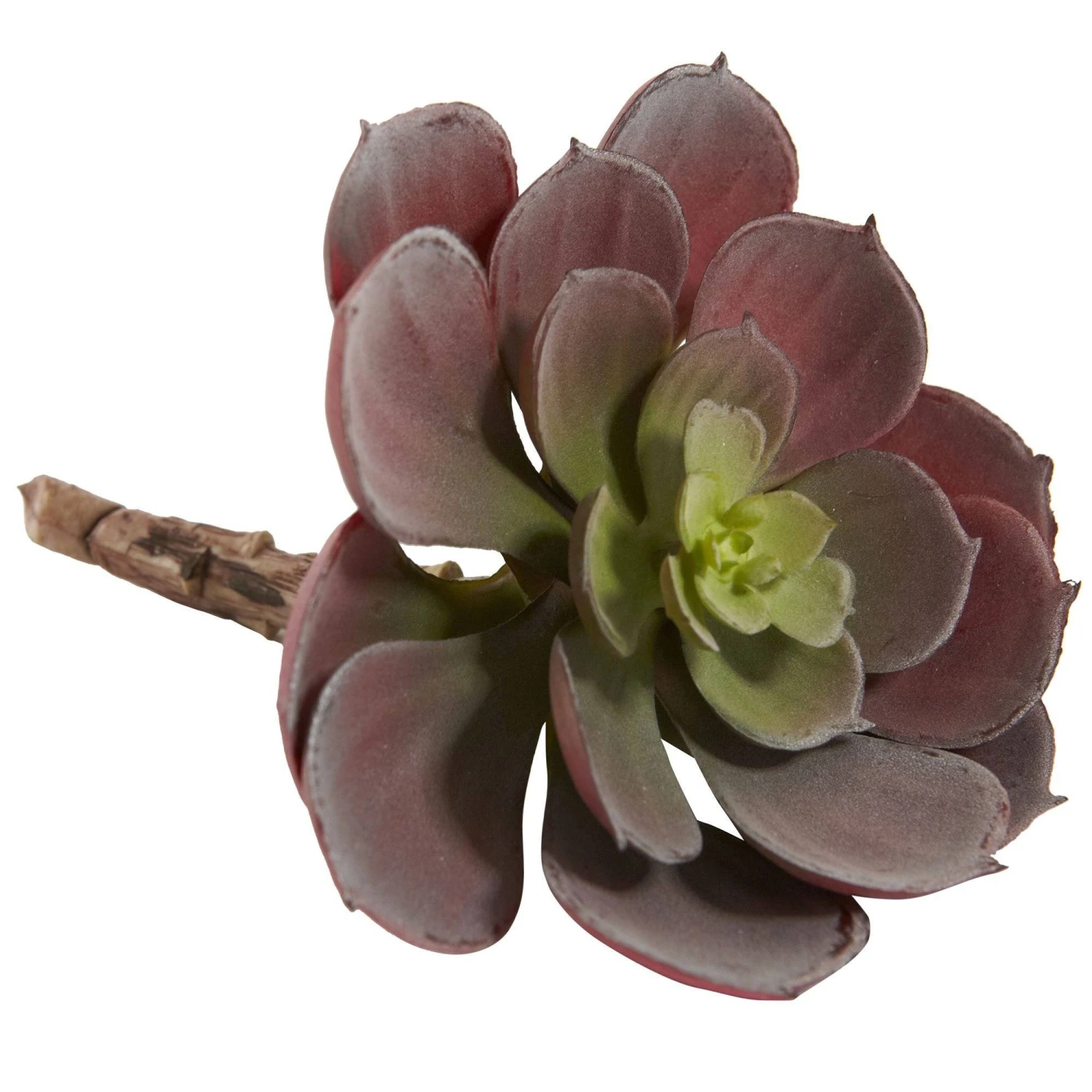 6” Artificial Echeveria Succulent (Set Of 12) 5 6” Artificial Echeveria Succulent (Set Of 12) - Image 5