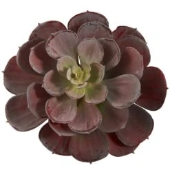 6” Echeveria Succulent (Set Of 12) -Artificial Trees Store artificial 6 echeveria succulent set of 12 nearly natural 396932
