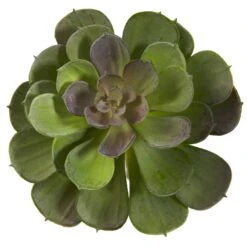 6” Echeveria Succulent (Set Of 12) -Artificial Trees Store artificial 6 echeveria succulent set of 12 nearly natural 404971