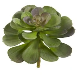 6” Echeveria Succulent (Set Of 12) -Artificial Trees Store artificial 6 echeveria succulent set of 12 nearly natural 907253