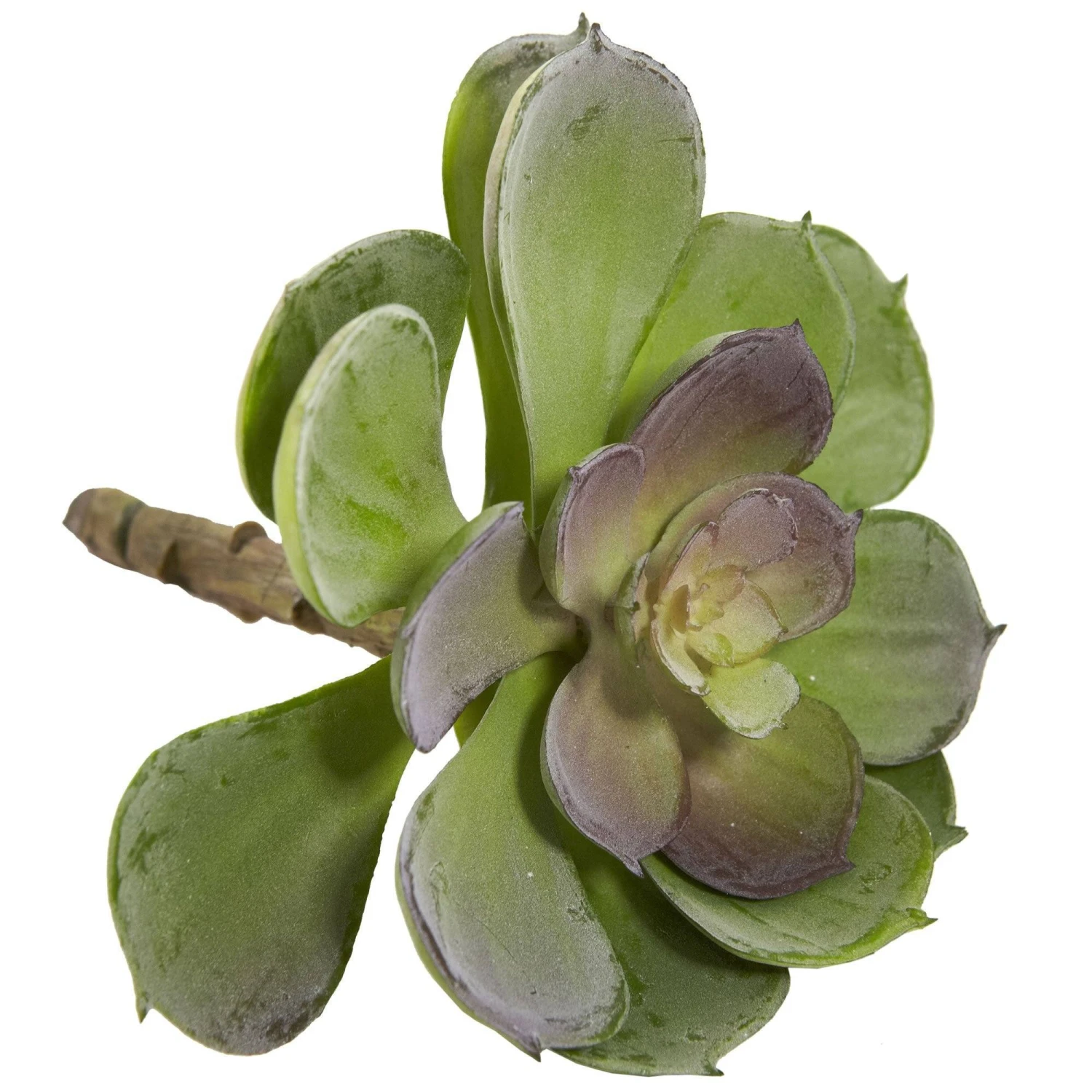 6” Artificial Echeveria Succulent (Set Of 12) 9 6” Artificial Echeveria Succulent (Set Of 12) - Image 9