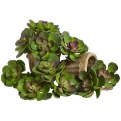 6” Artificial Echeveria Succulent (Set Of 12) 16 6” Artificial Echeveria Succulent (Set Of 12) -Artificial Trees Store artificial 6 echeveria succulent set of 12 nearly natural green burgundy 218085