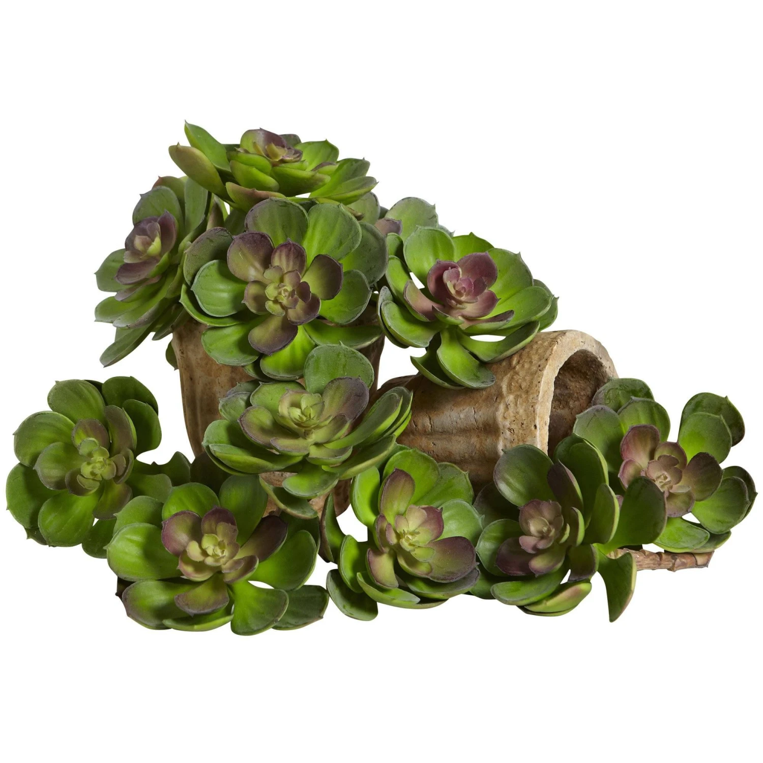 6” Artificial Echeveria Succulent (Set Of 12) 7 6” Artificial Echeveria Succulent (Set Of 12) - Image 7