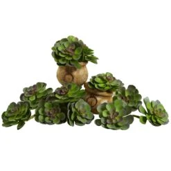 6” Echeveria Succulent (Set Of 12) -Artificial Trees Store artificial 6 echeveria succulent set of 12 nearly natural green burgundy 984522