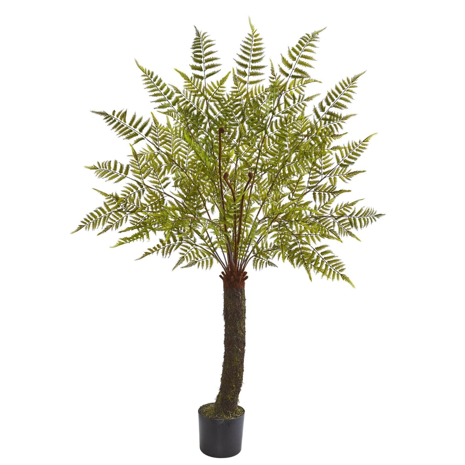 6’ Fern Artificial Plant 1 6’ Fern Artificial Plant