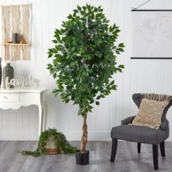 6’ Ficus Artificial Tree In Nursery Planter 5 6’ Ficus Artificial Tree In Nursery Planter -Artificial Trees Store artificial 6 ficus artificial tree in nursery planter nearly natural 476437