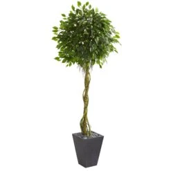 6’ Ficus Artificial Tree In Slate Planter (Indoor/Outdoor)