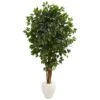 6’ Ficus Artificial Tree In White Planter