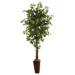6' Ficus Tree W/Bamboo Planter