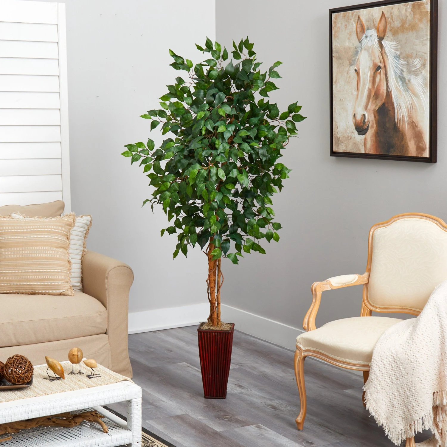 6' Ficus Tree W/Bamboo Planter 3 6' Ficus Tree W/Bamboo Planter - Image 3