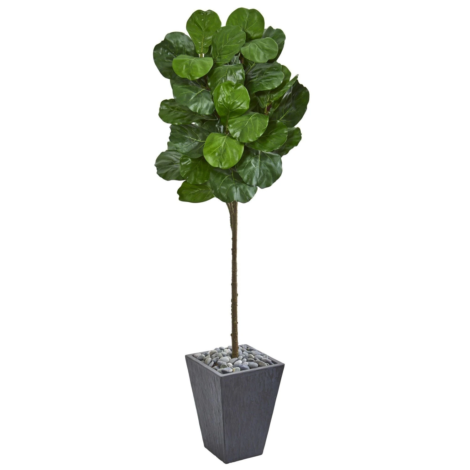 6’ Fiddle Leaf Artificial Tree In Slate Finished Planter 1 6’ Fiddle Leaf Artificial Tree In Slate Finished Planter