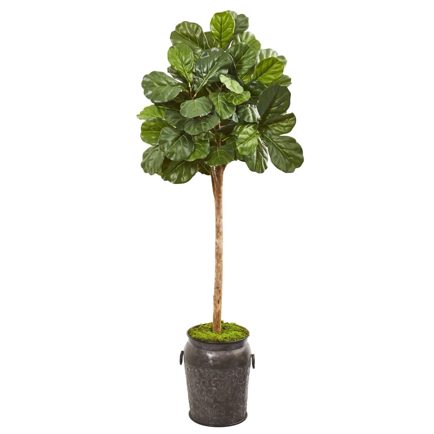 6’ Fiddle Leaf Fig Artificial Tree In Metal Planter 1 6’ Fiddle Leaf Fig Artificial Tree In Metal Planter