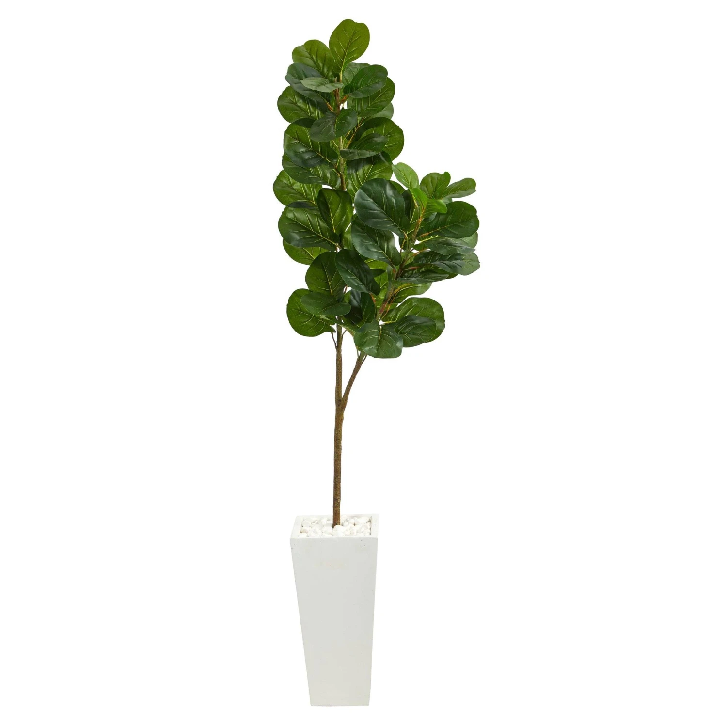 6’ Fiddle Leaf Fig Artificial Tree In Tall White Planter 1 6’ Fiddle Leaf Fig Artificial Tree In Tall White Planter